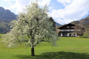 Apartments in Kramsach/Tirol 452 Kramsach